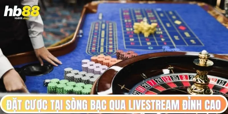 Đặt cược tại sòng bạc qua livestream đỉnh cao