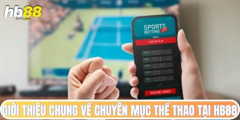 Giới thiệu chung về chuyên mục thể thao tại HB88