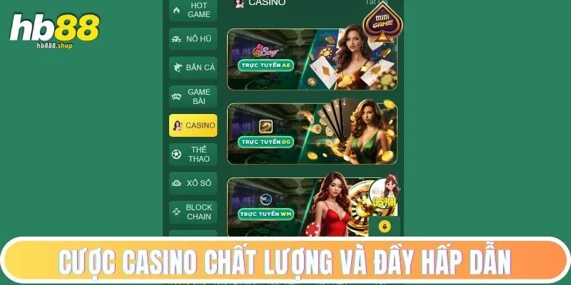 Cược casino cực kỳ chất lượng và đầy hấp dẫn